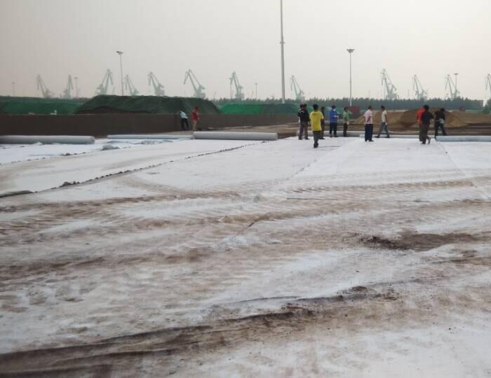 Composite Geomembrane