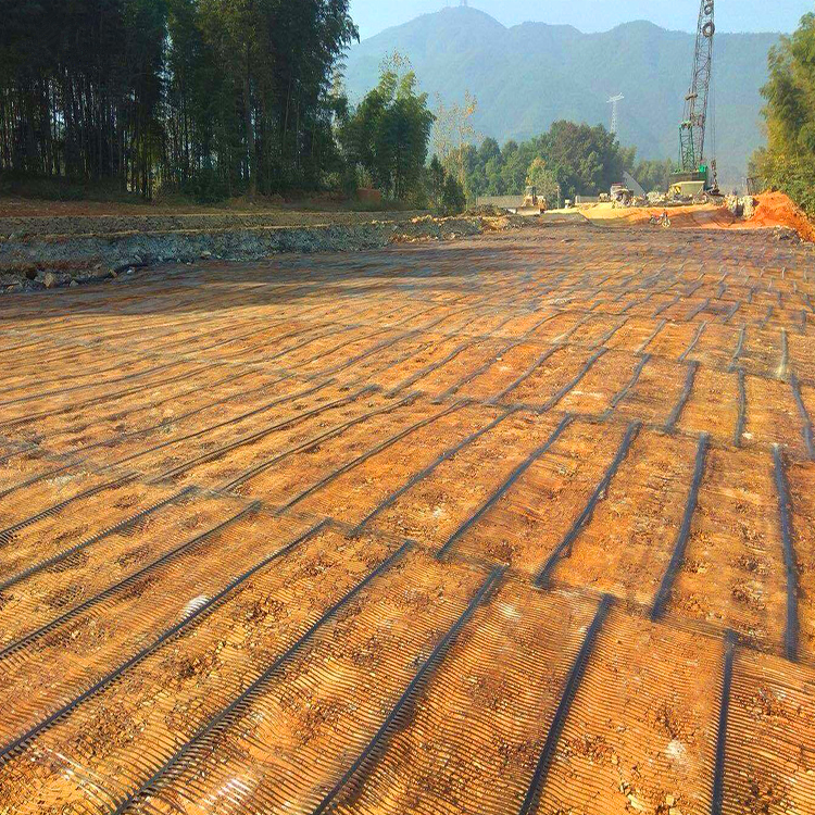 suppliers geogrid
