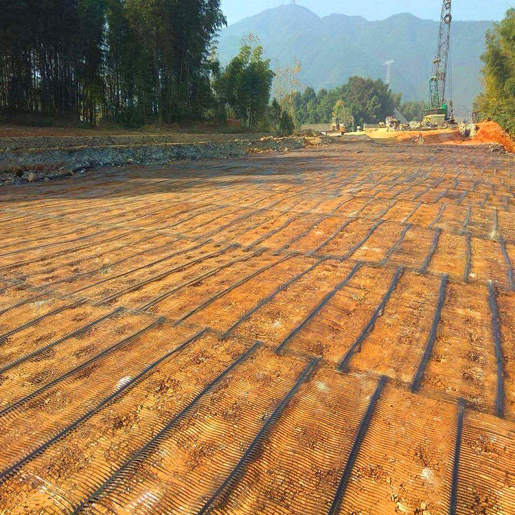 ຜູ້ສະຫນອງ geogrid